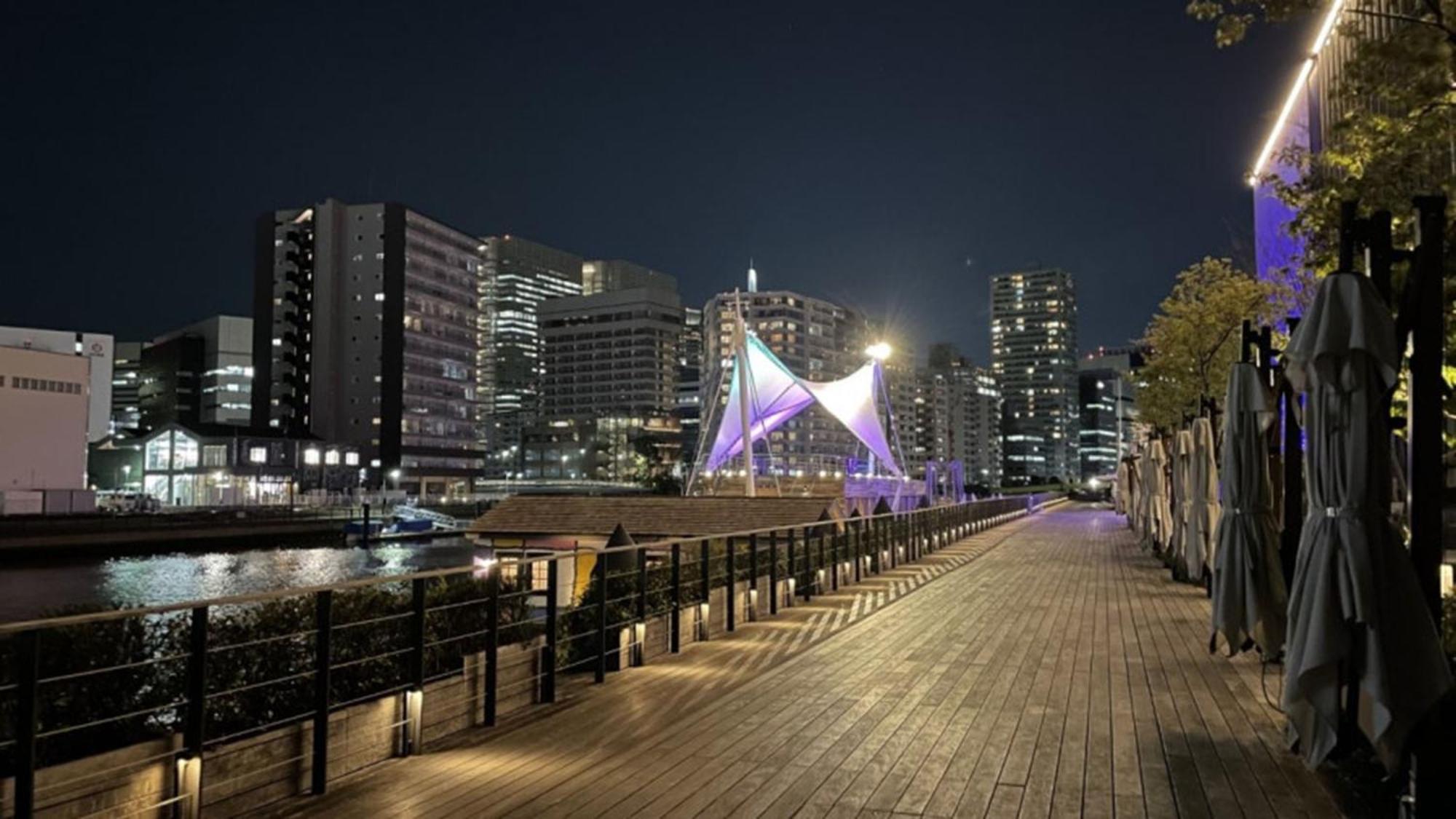 Toyoko Inn Tokyo Shinagawa Konan-Guchi Tennozu Isle Εξωτερικό φωτογραφία